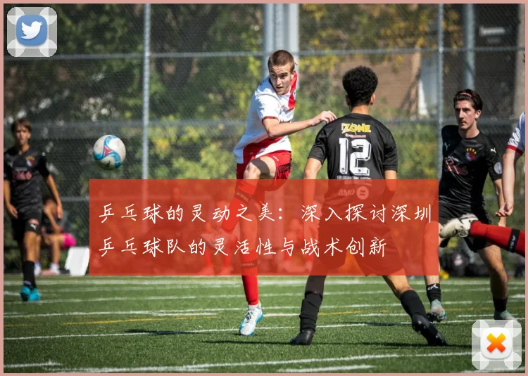 乒乓球的灵动之美：深入探讨深圳乒乓球队的灵活性与战术创新