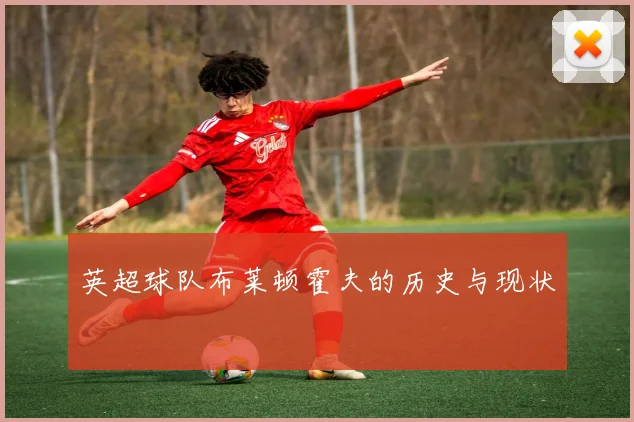 英超球队布莱顿霍夫的历史与现状